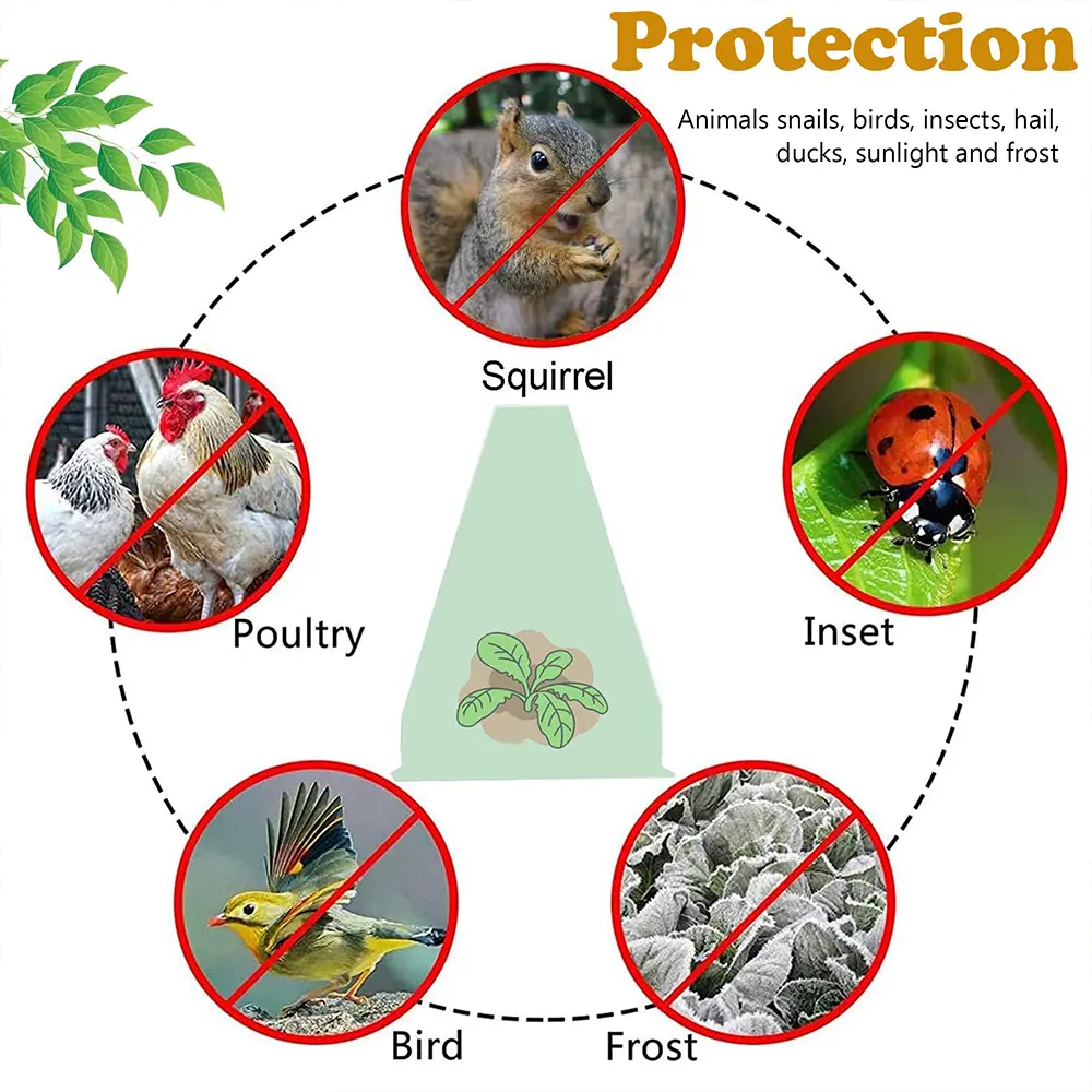 5Pcs Growth Box Planting Tent Reusable Square Use Plant Clock Cover To Protect Plants From Bird Frost and Snail Damage Green