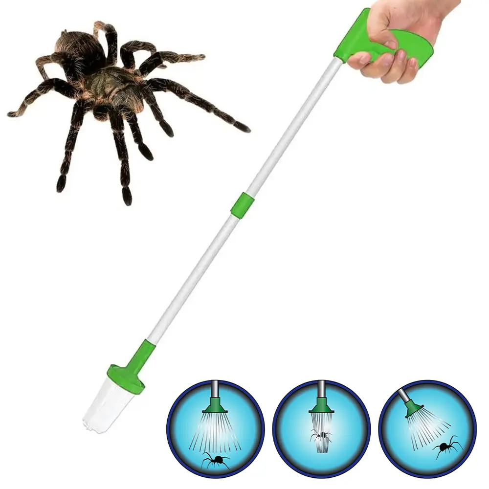 324