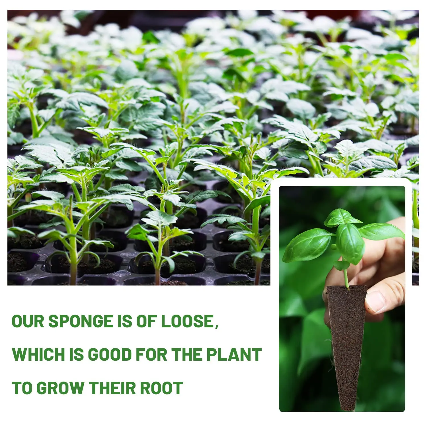 50Pcs Seed Grow Sponges Replacement Root Growth Sponges Seedling Starter Plugs Seed Starting Seed Pod Hydroponic Garden Planting