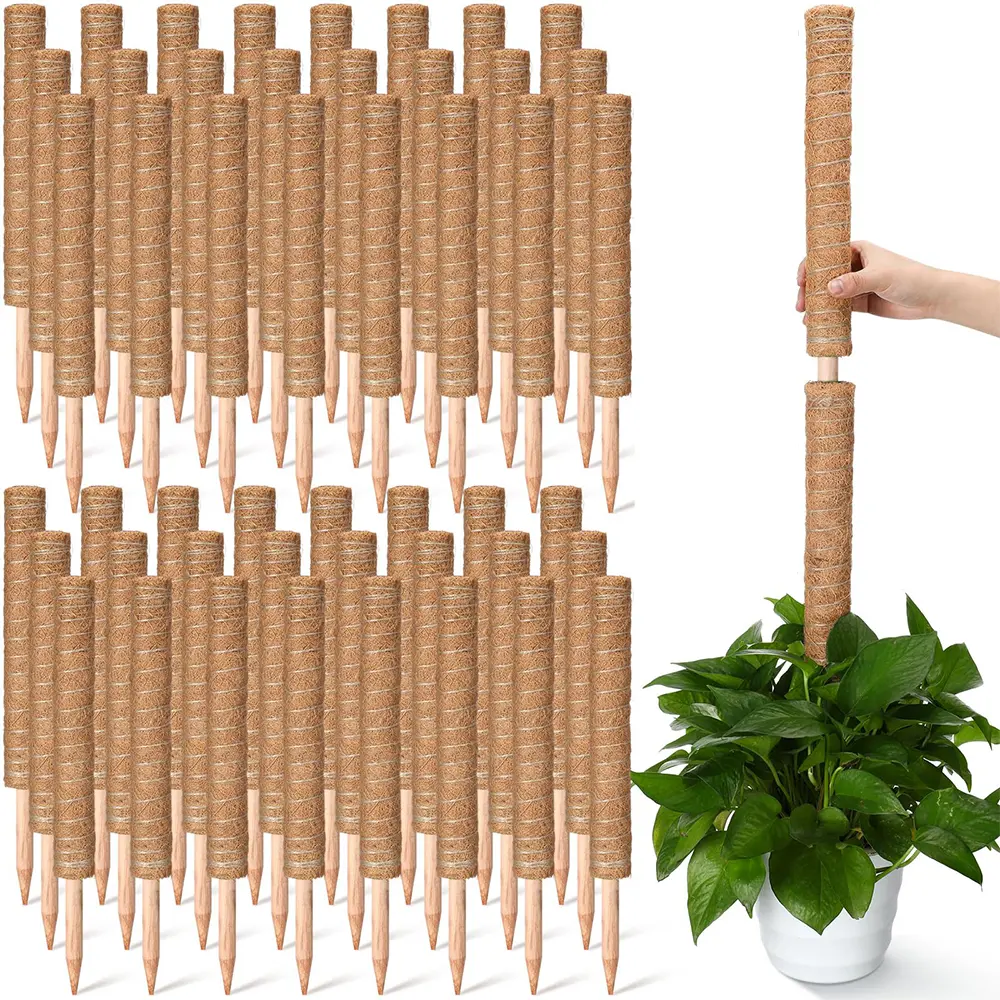 324