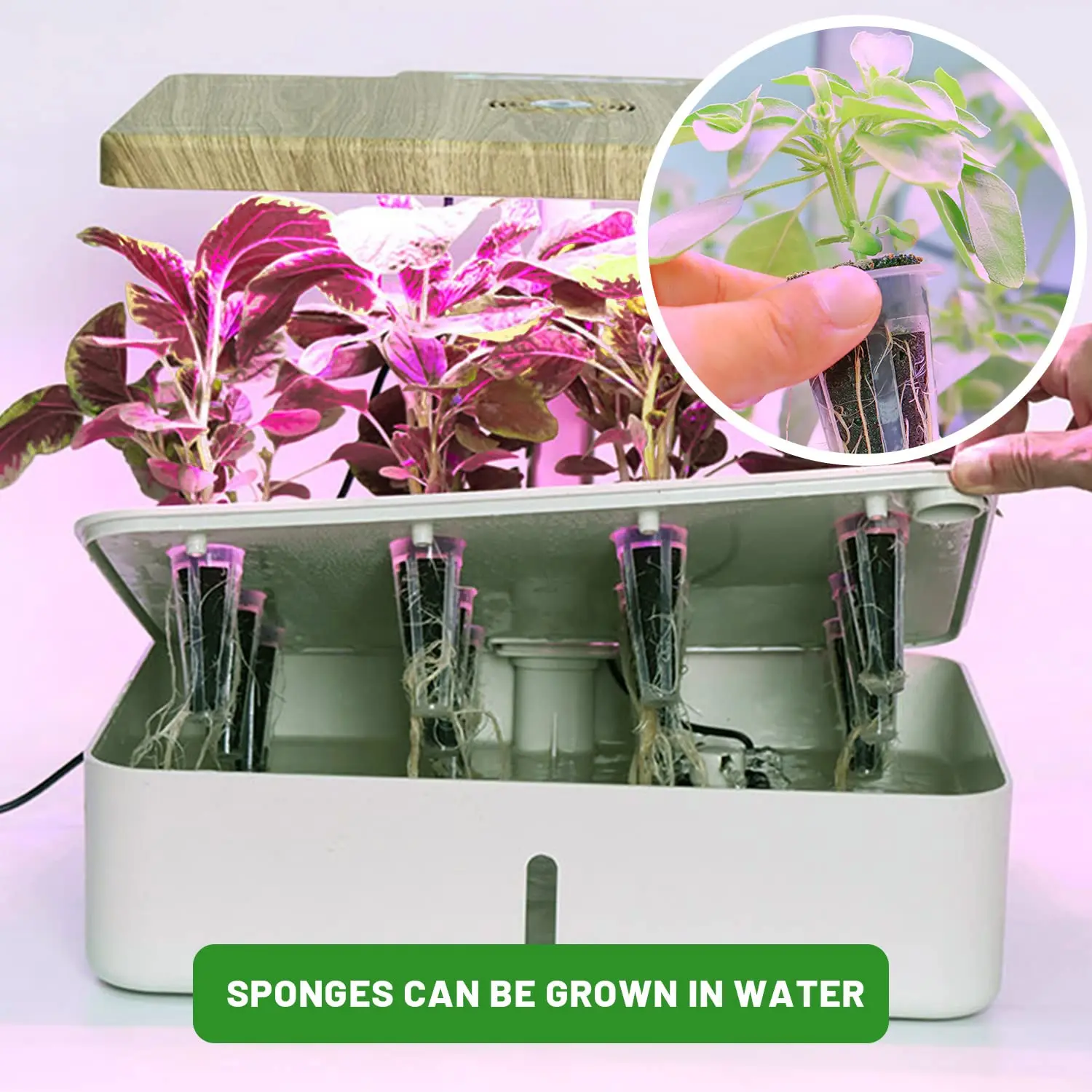 50Pcs Seed Grow Sponges Replacement Root Growth Sponges Seedling Starter Plugs Seed Starting Seed Pod Hydroponic Garden Planting