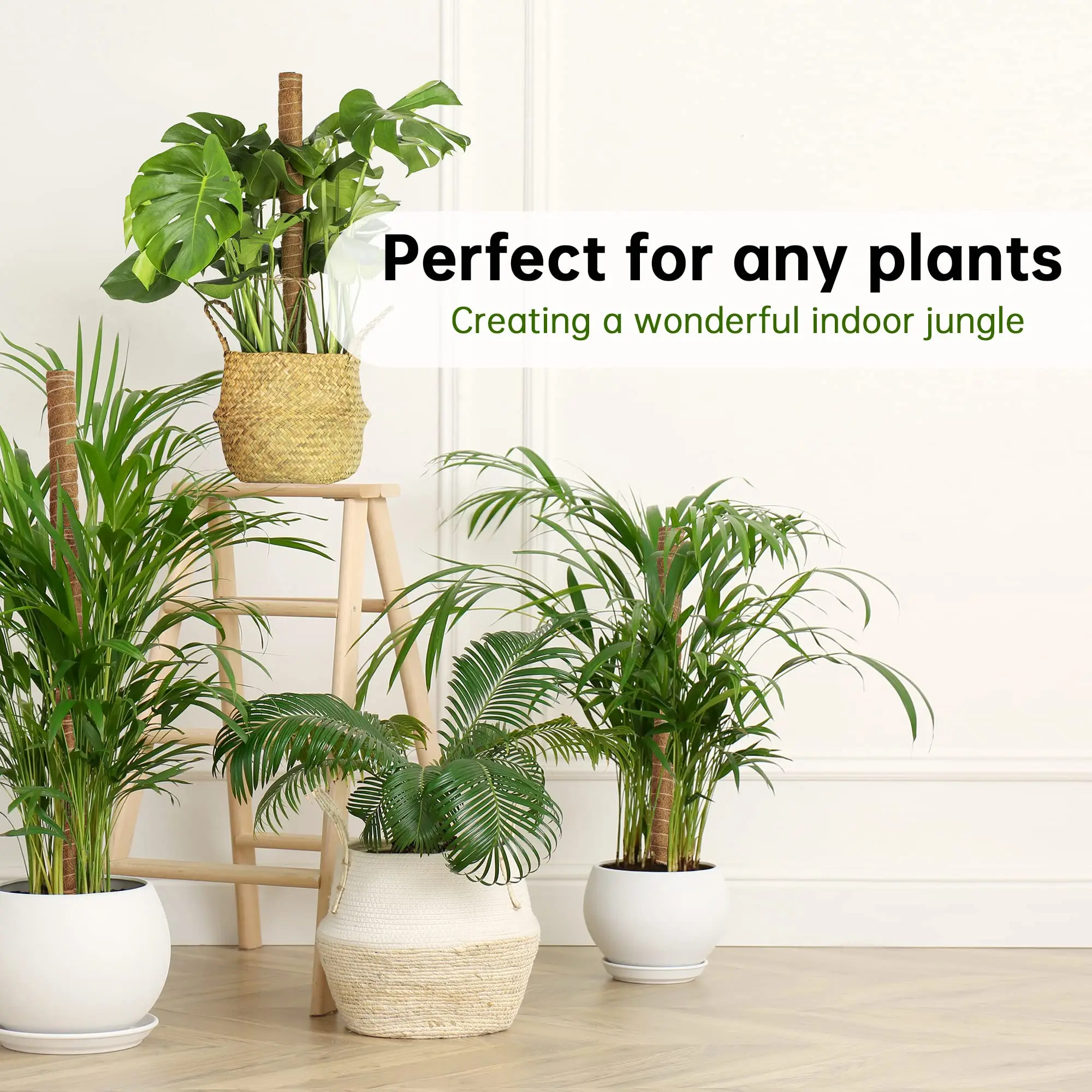 Climbing Totem Pole Plant Support Indoor Climbing Plants Stake Sphagnum Moss Coconut Fiber Creeper Frame Indoor Garden Supplies