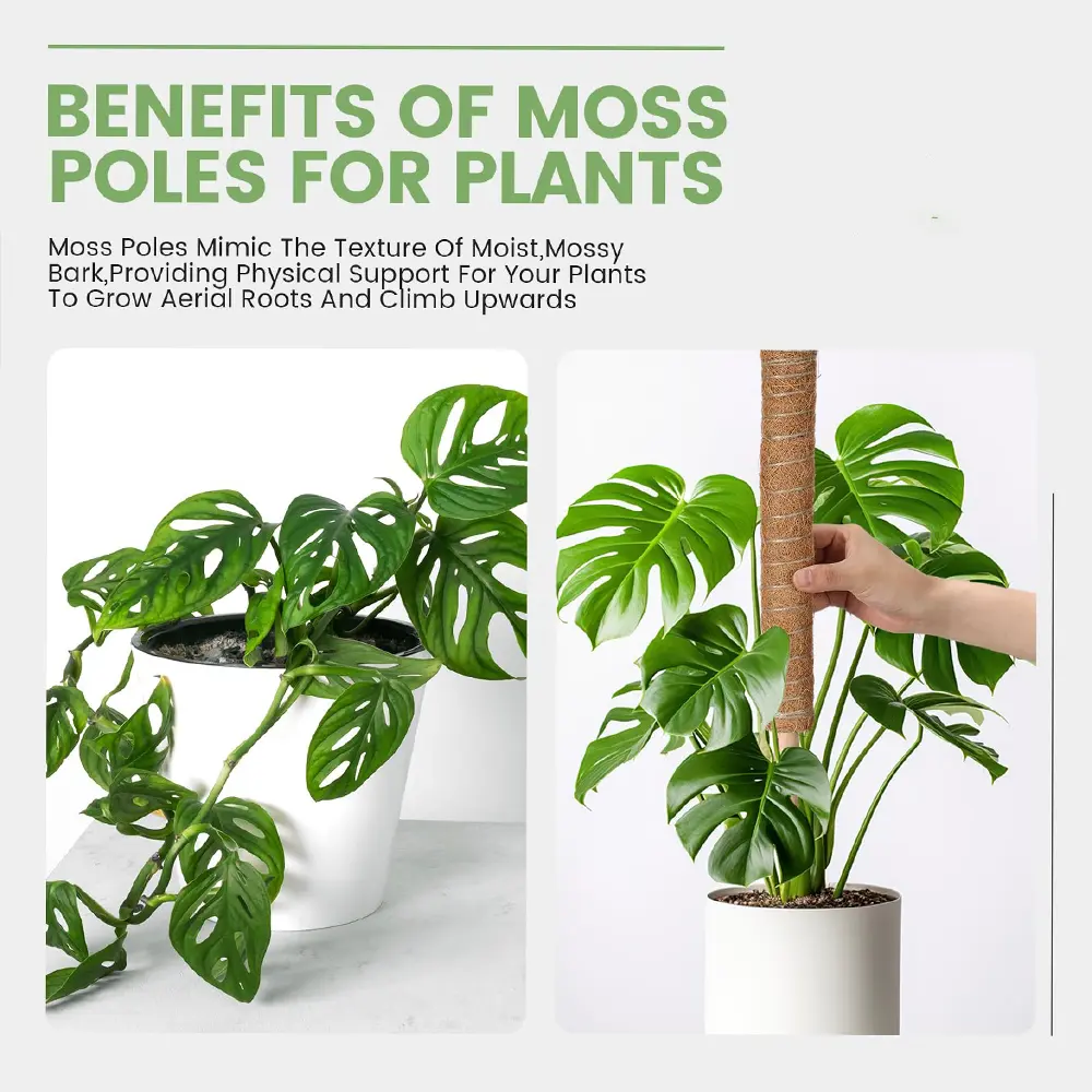 Climbing Totem Pole Plant Support Indoor Climbing Plants Stake Sphagnum Moss Coconut Fiber Creeper Frame Indoor Garden Supplies