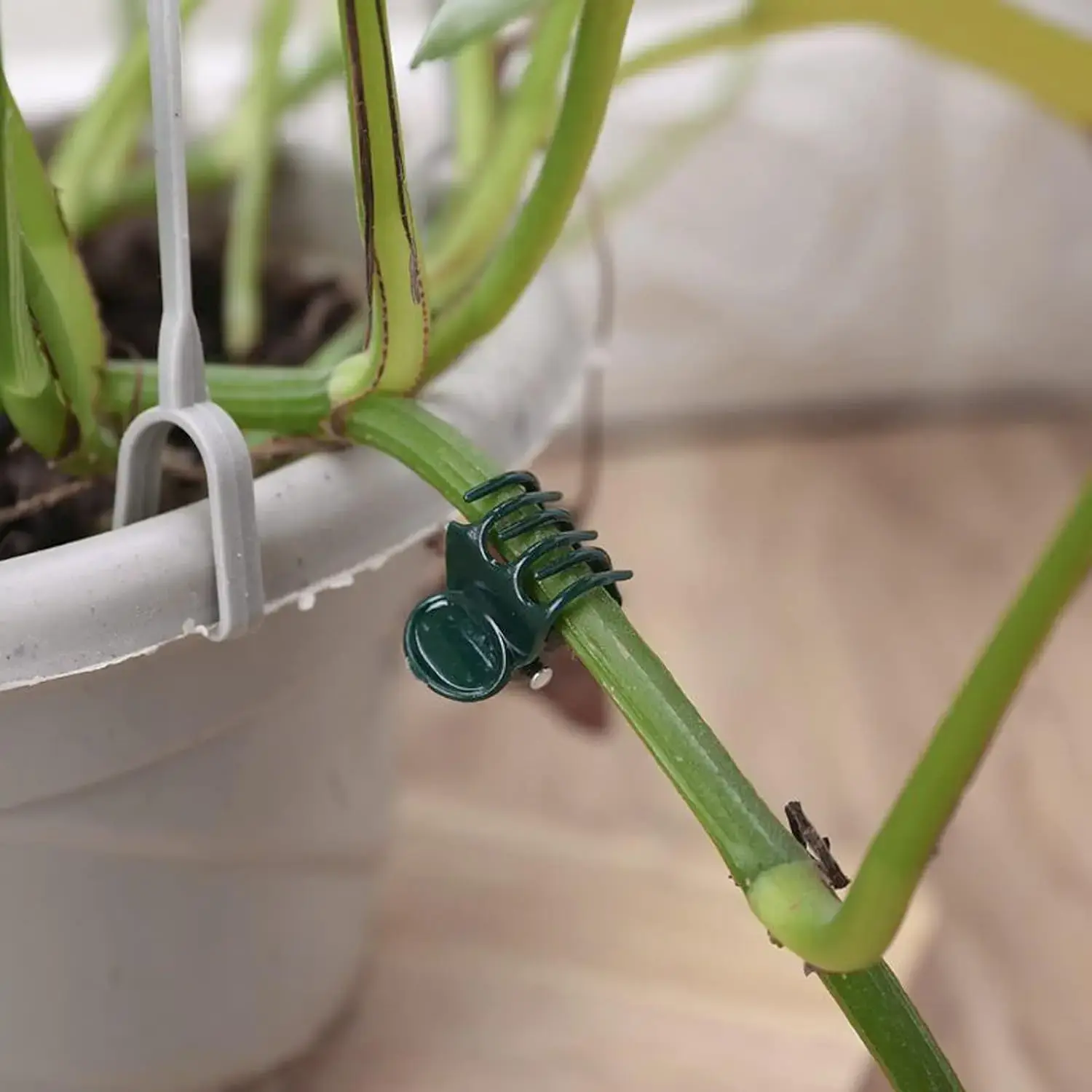 100pcs Garden Plant Clips Plastic Support Orchid Stem Clip for Vine Vegetables Flower Tied Bundle Branch Clamping Garden Tool