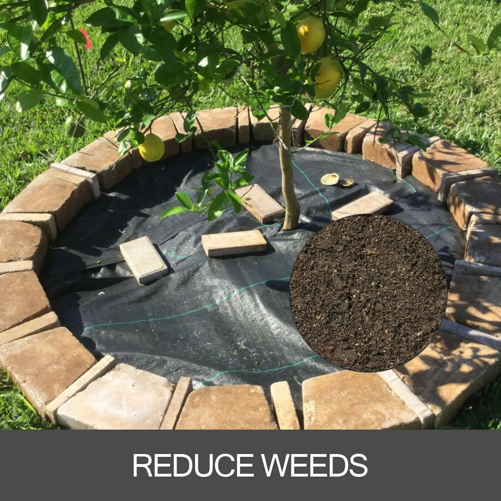 SucceBuy Landscape Fabric 3x300/6x250/4x300Ft Weed Barrier Geotextile Fabric Heavy Duty Landscape Ground Cover Weed Control