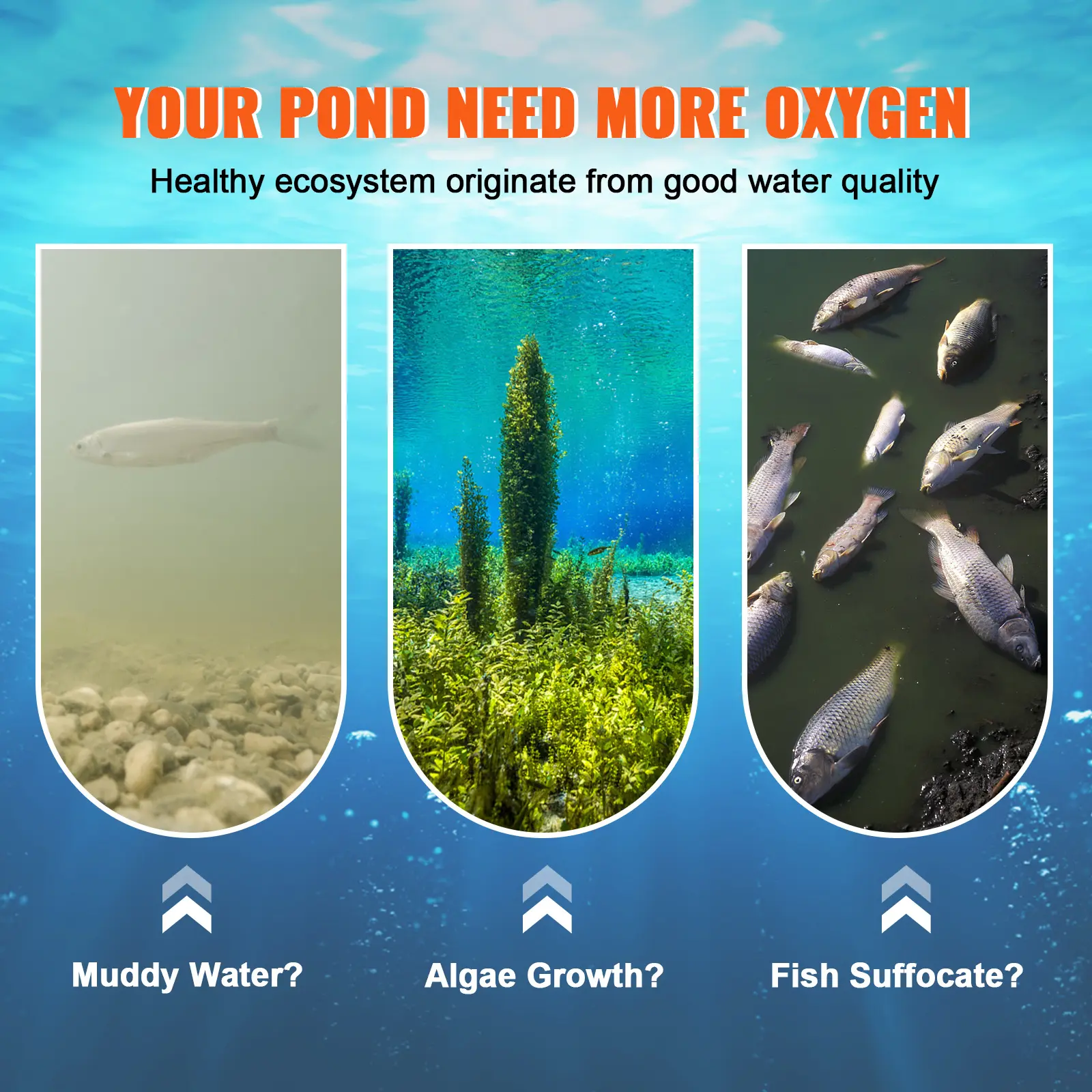 SucceBuy Pond Aerator 550W Power Up to 1 Acre 50' Lake with Weighted Tubing & Diffuser Air Compressor for Oxygen Circulation