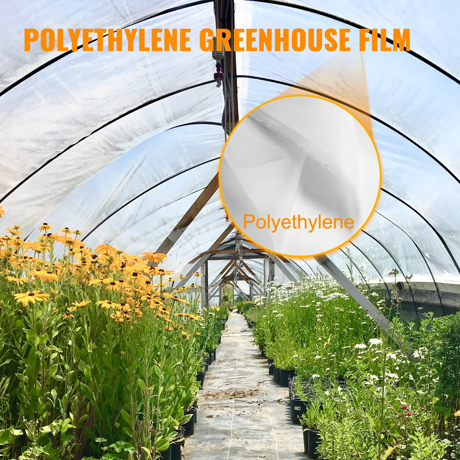 SucceBuy Greenhouse Film 32x25ft Greenhouse Polyethylene Film 6 Mil Thickness Greenhouse Plastic Clear Plastic Film UV Resistant