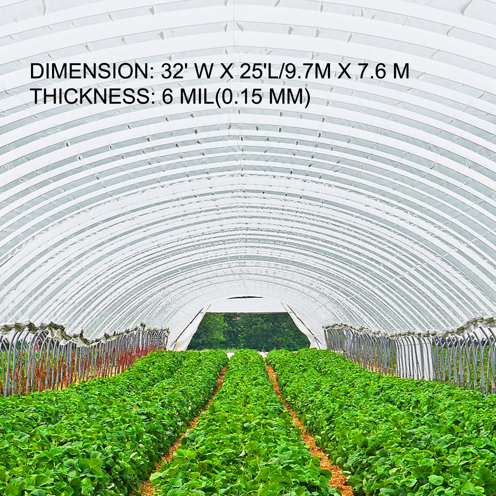 SucceBuy Greenhouse Film 32x25ft Greenhouse Polyethylene Film 6 Mil Thickness Greenhouse Plastic Clear Plastic Film UV Resistant