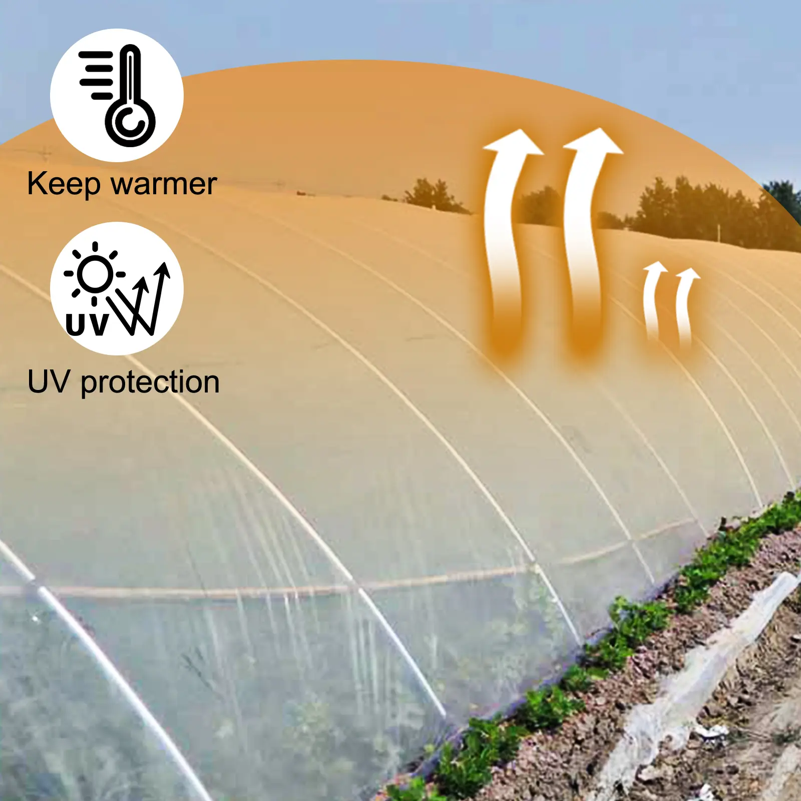 SucceBuy Greenhouse Film 32x25ft Greenhouse Polyethylene Film 6 Mil Thickness Greenhouse Plastic Clear Plastic Film UV Resistant