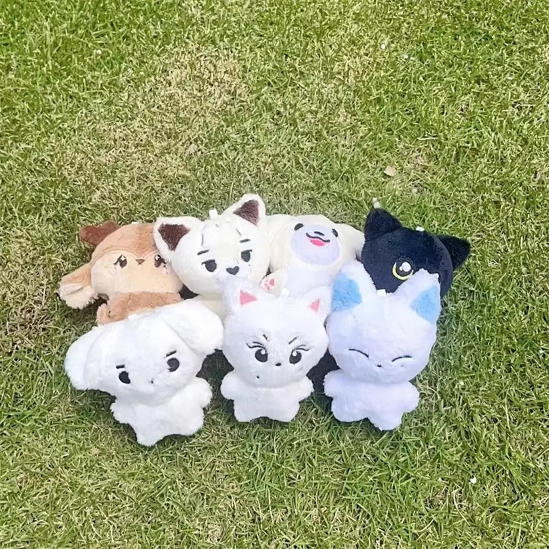 Kpop  Plush JUNGWON HEESEUNG JAY JAKE SUNGHOON Stuffed Toys Keyring Kawaii Cartoon Pendant Accessories Bag Fans Gift