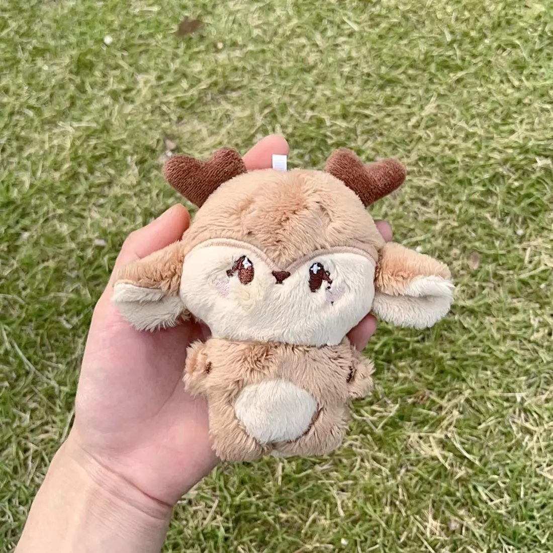 Kpop  Plush JUNGWON HEESEUNG JAY JAKE SUNGHOON Stuffed Toys Keyring Kawaii Cartoon Pendant Accessories Bag Fans Gift