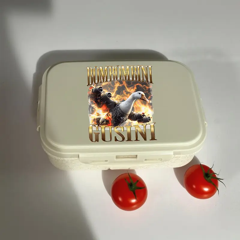 Italian Brainrot Animals Print  Lunch Box for Kids Bento Box Food Storage Container School Office Worker Outdoor Picnic gifts
