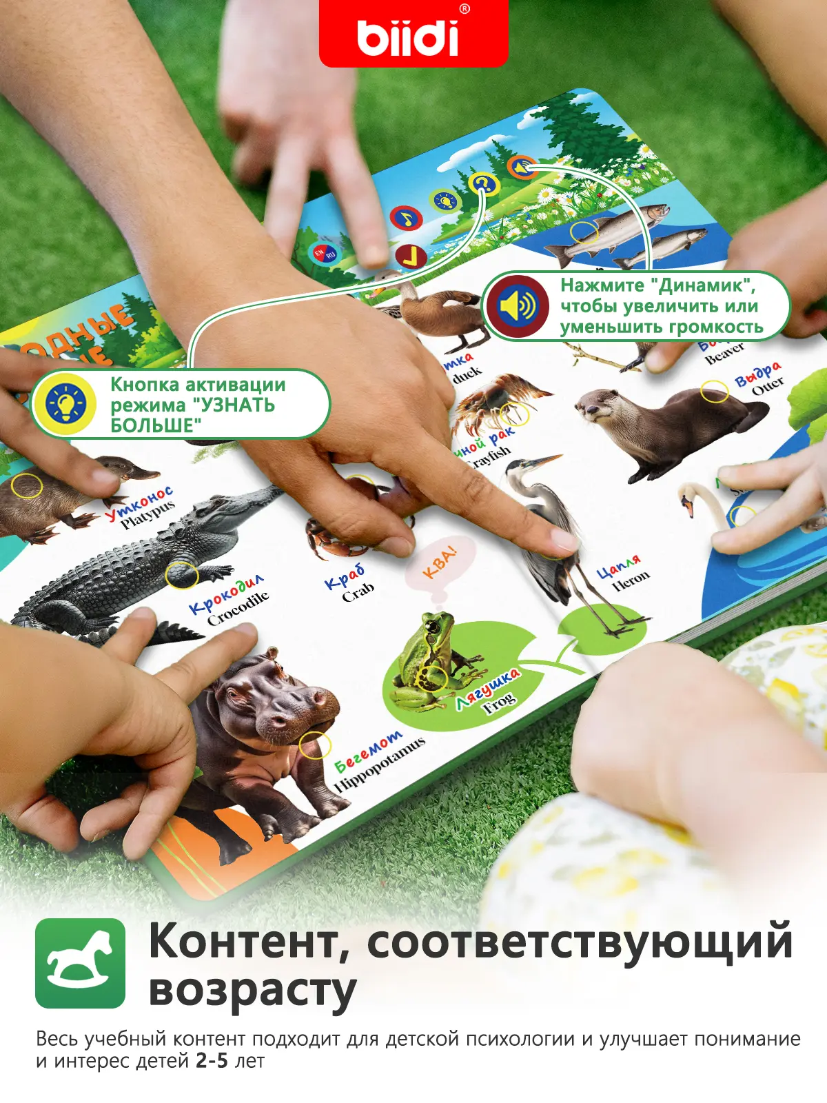 Montessori eBooks Learning Books English Russian Bilingual Books Animal World Talking Books Gifts for 2 Year Olds