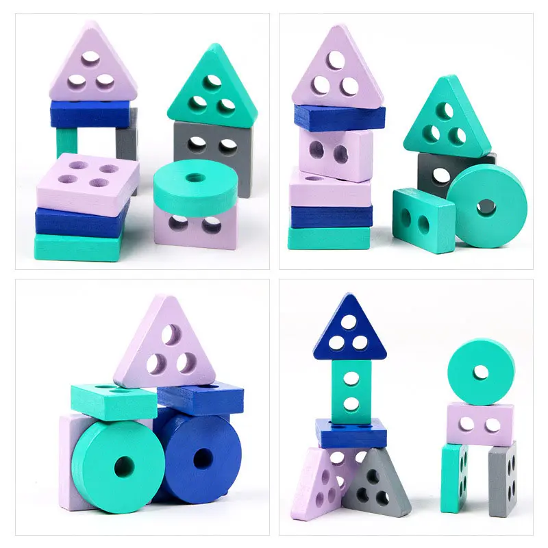 Wooden Montessori Toy Building Blocks Early Learning Educational Toys Color Shape Match Kids Toy for Boys Girls 3Y+ Small Size