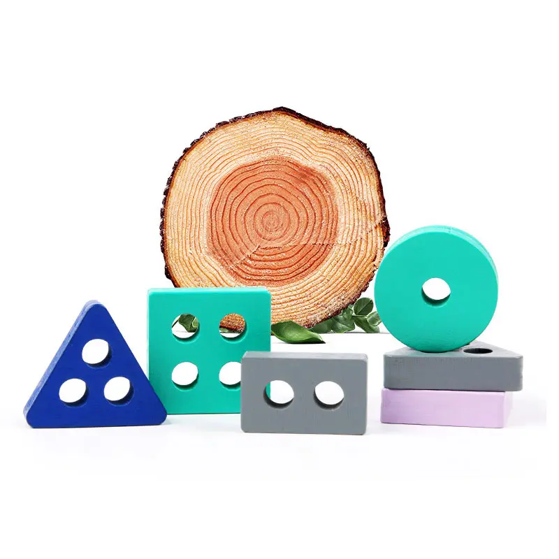 Wooden Montessori Toy Building Blocks Early Learning Educational Toys Color Shape Match Kids Toy for Boys Girls 3Y+ Small Size