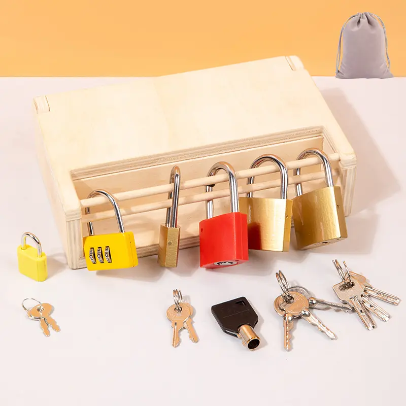 Children Montessori Unlocking Toys Learning Locks With Keys Educational Game Fine Motor Training Sensory Materials Teaching Aids