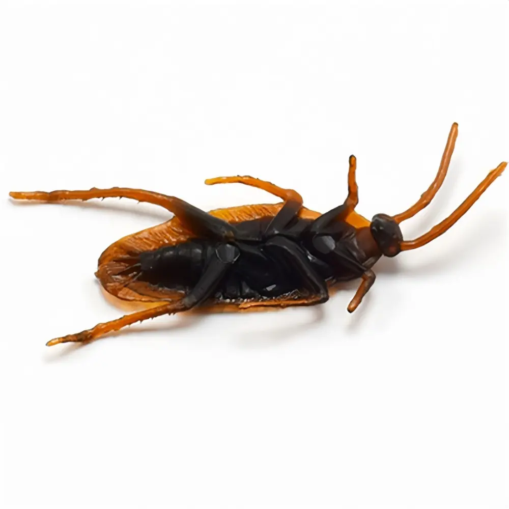 15/5pc Simulated Cockroaches Realistic Fake Cockroaches in Plastic Models Fun Props For Halloween April Fool's Pranks Small Bugs
