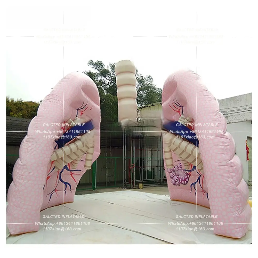 Giant Inflatable Lung Model Demonstrating School Teaching Human Organs Ballooning for Medical Activity