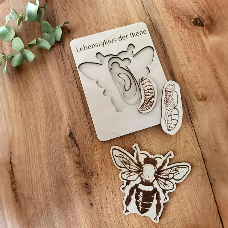 Wooden Life Cycle Puzzle Layered Animal Insect Plant Growth Jigsaw Puzzle Preschool Educational Puzzles Toy For Boys And Girls