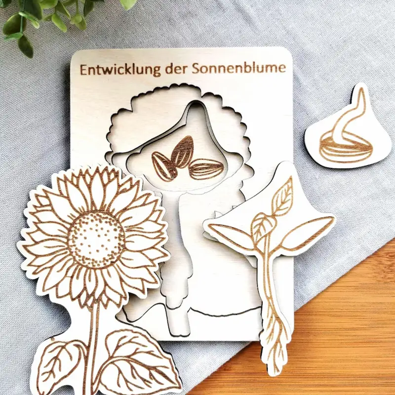 Wooden Life Cycle Puzzle Layered Animal Insect Plant Growth Jigsaw Puzzle Preschool Educational Puzzles Toy For Boys And Girls