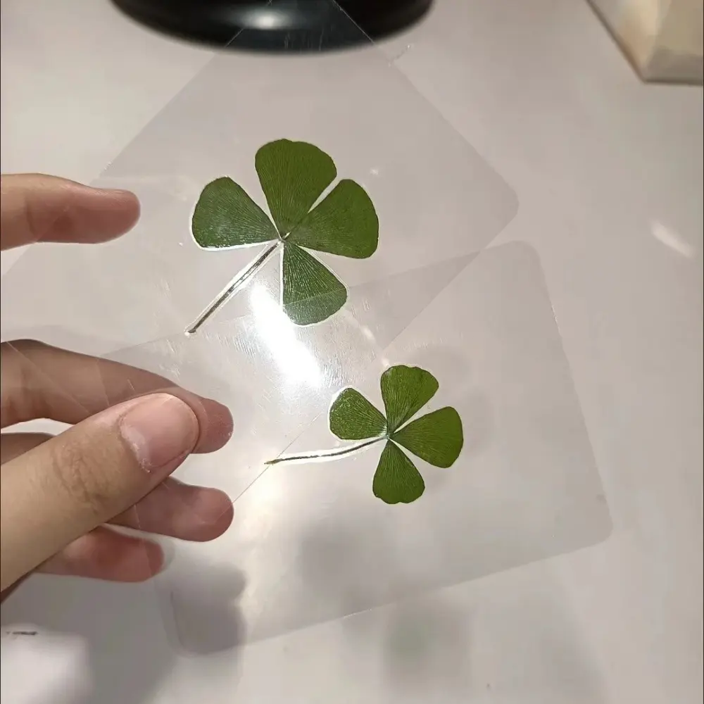 New 5/10/20/30Pcs Lucky Clover Postcards Natural Grass Transparent Wishing Cards Ideal for Bookmarks & Decorations