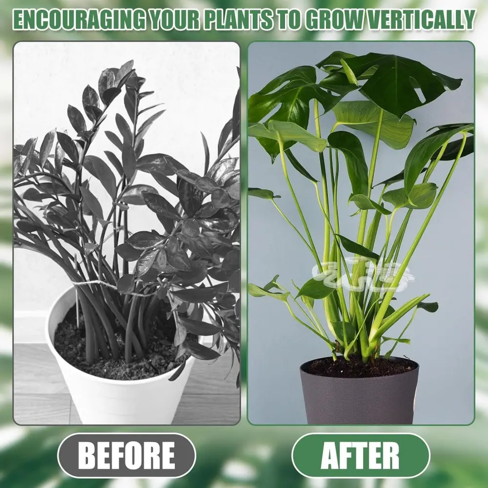 Turtle Shell Bamboo Clamp Reusable Clear Plastic Plant Stem Support Holder for Indoor and Outdoor Plants for Flower Lovers Tool