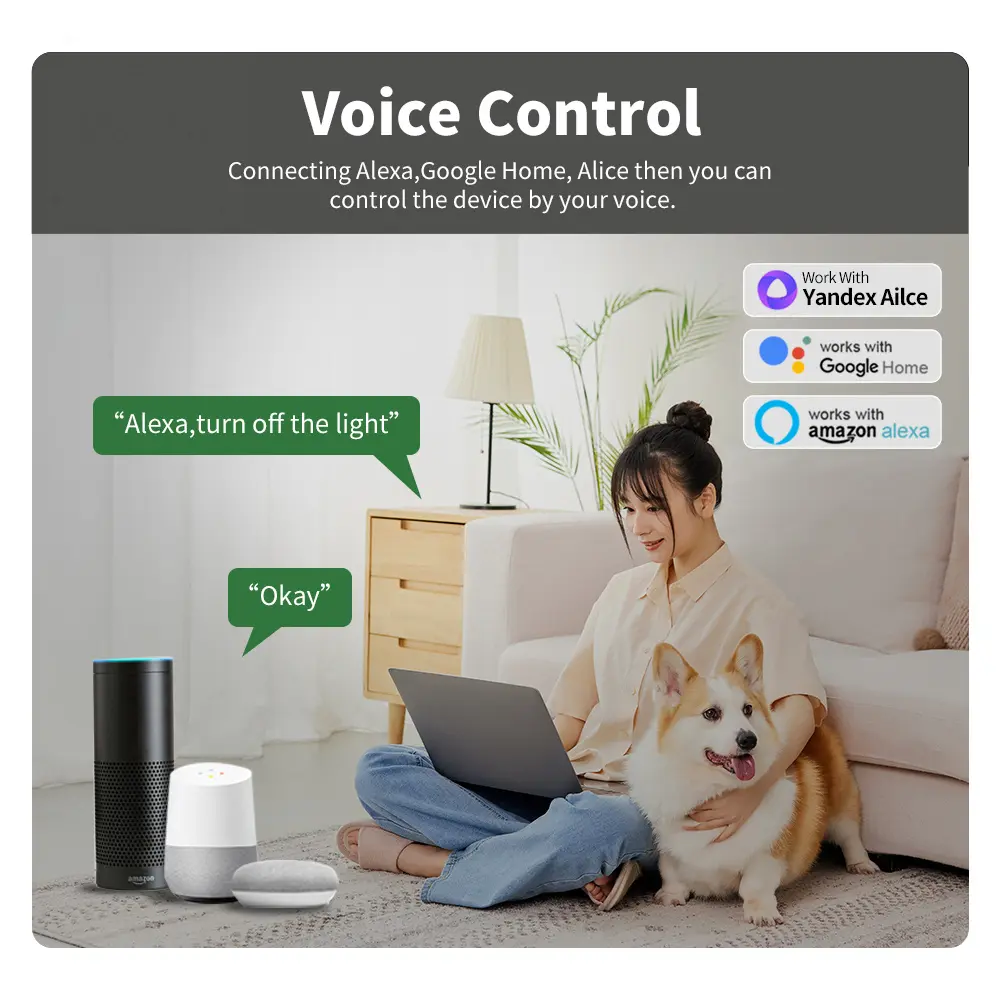 Wifi 16A Smart Light Switch DIY Switches Module Relay Supports 2 Way APP Voice Control with Tuya Smart Life Alexa Google Home
