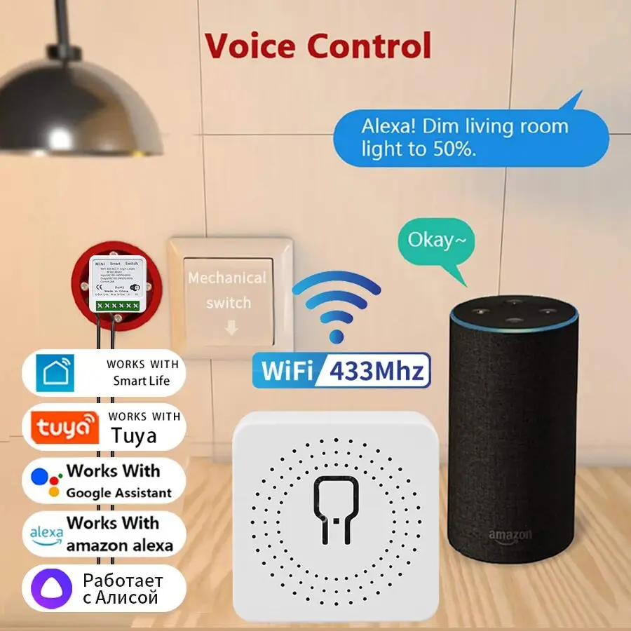 20A Tuya WiFi Mini DIY Smart Switch Module 2-way Control 433MHz Work with Tuya Smart Life App Alexa Google Home Voice Control