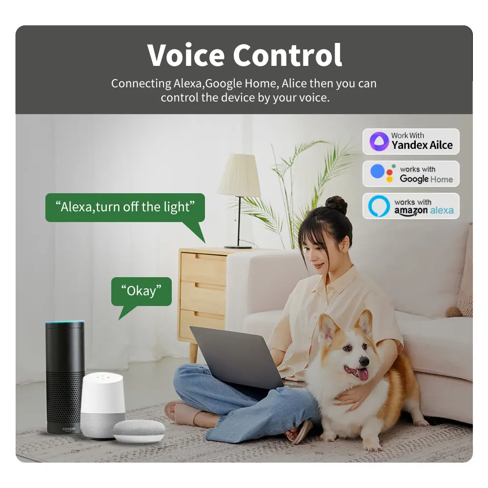 Tuya Mini Wifi Smart Switch Module Support 2 Way Control Smart Home DIY Switches Smart Life APP Alexa Google Home Voice Control