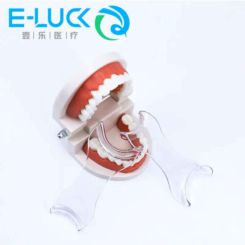 T shape Double Cheek Retractor Hooks Dental Mouth Opener Orthodontic Tool Intraoral Cheek Retractor Mouth Spreader Lip Opener