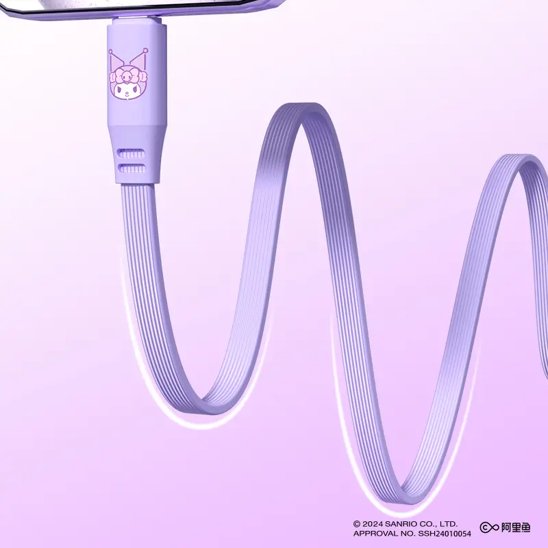 Sanrio 2 in 1 Charging Cord Cinnamoroll Kuromi Melody 20W Fast Charging Cable 1M Compative with Type C for iPhone 16 Sumsung