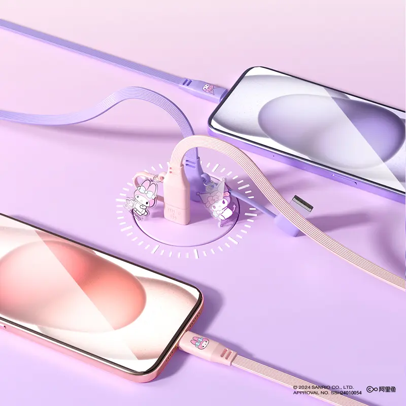 Sanrio 2 in 1 Charging Cord Cinnamoroll Kuromi Melody 20W Fast Charging Cable 1M Compative with Type C for iPhone 16 Sumsung