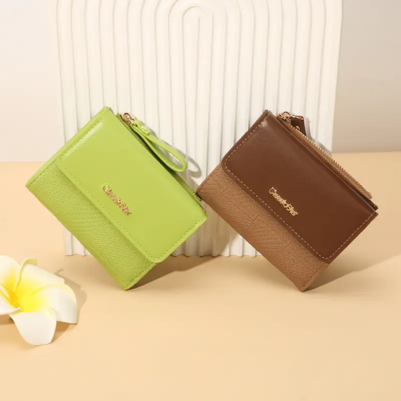 New Spring and Summer Light-colored Versatile Design Wallet: Simple and Fashionable Women's Handheld Purse Cross-border