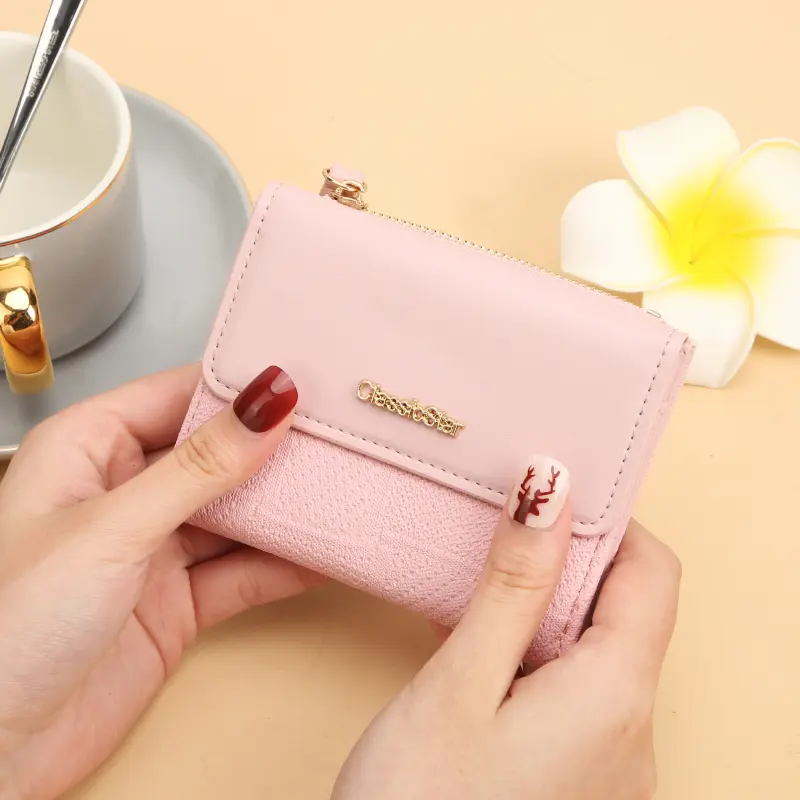 New Spring and Summer Light-colored Versatile Design Wallet: Simple and Fashionable Women's Handheld Purse Cross-border