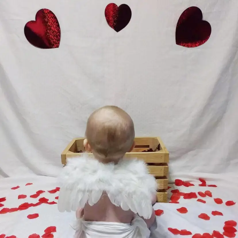 Feather Angel Wing for Newborn Baby Kids Photography Props Doll Clothes Diy Show Masquerade Party Hanging Ornament Decor