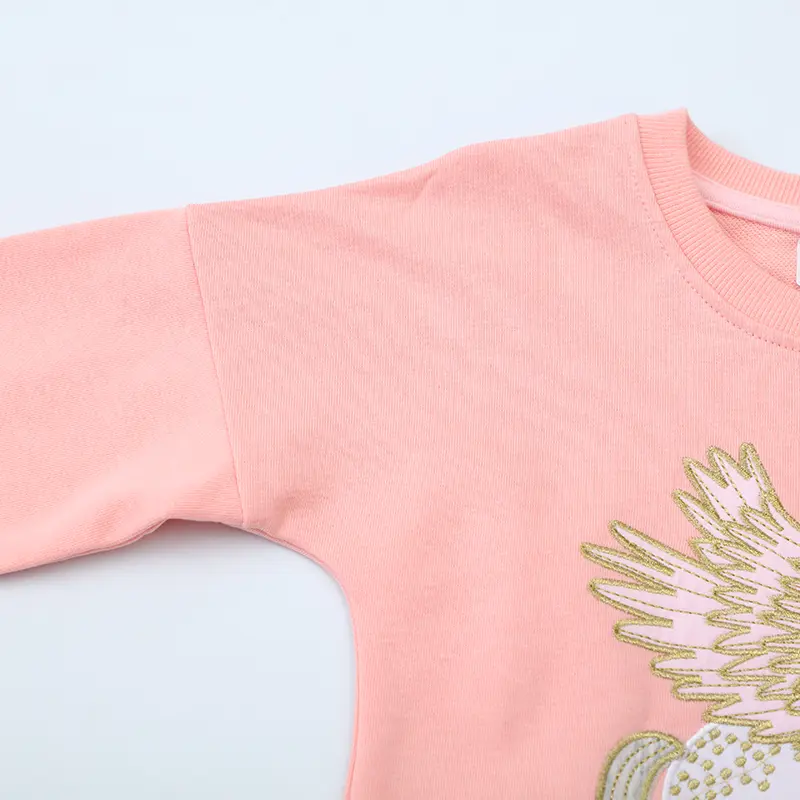 2-7t Girls' Pink Long Sleeve Sweatshirt Exquisite Pegasus Embroidery Design Adorable Toddler Kid Pullover