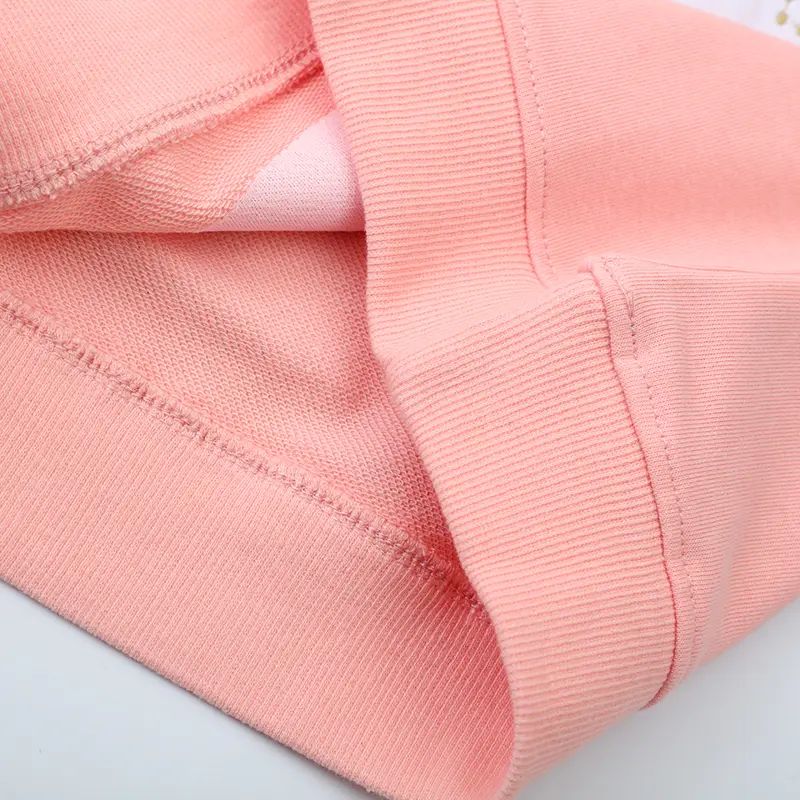 2-7t Girls' Pink Long Sleeve Sweatshirt Exquisite Pegasus Embroidery Design Adorable Toddler Kid Pullover