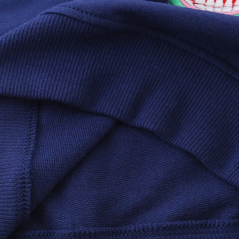 Boys' Navy Blue Sweatshirt - Dinosaur - Themed Design with T - Rex and Pterodactyl, Star Accents