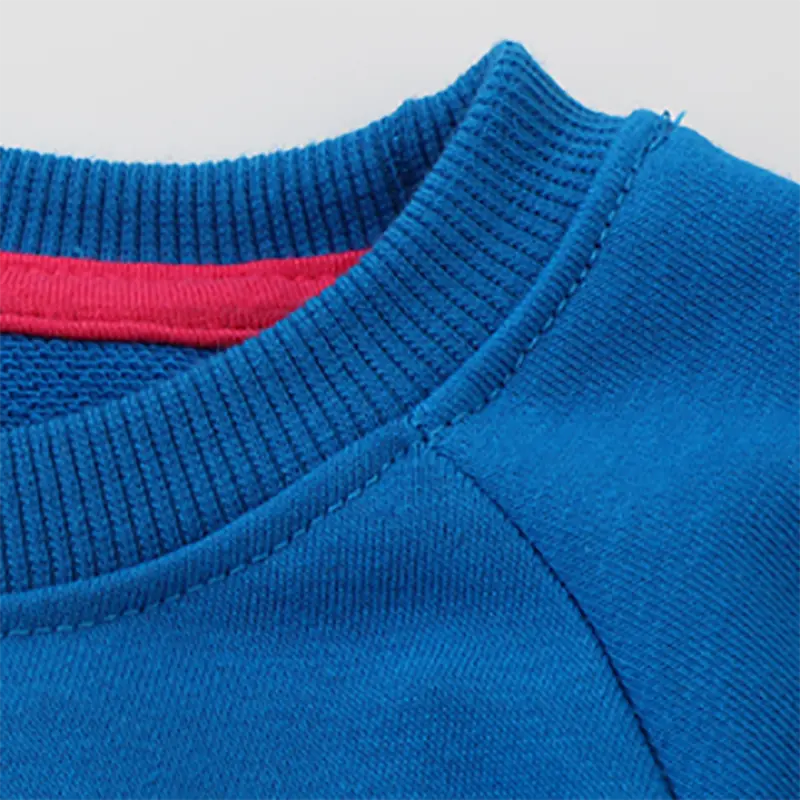 Adorable Toddler Girl Blue Pullover Charming Flower Embroidered Sleeves Comfortable & Cute Ideal for Everyday Wear