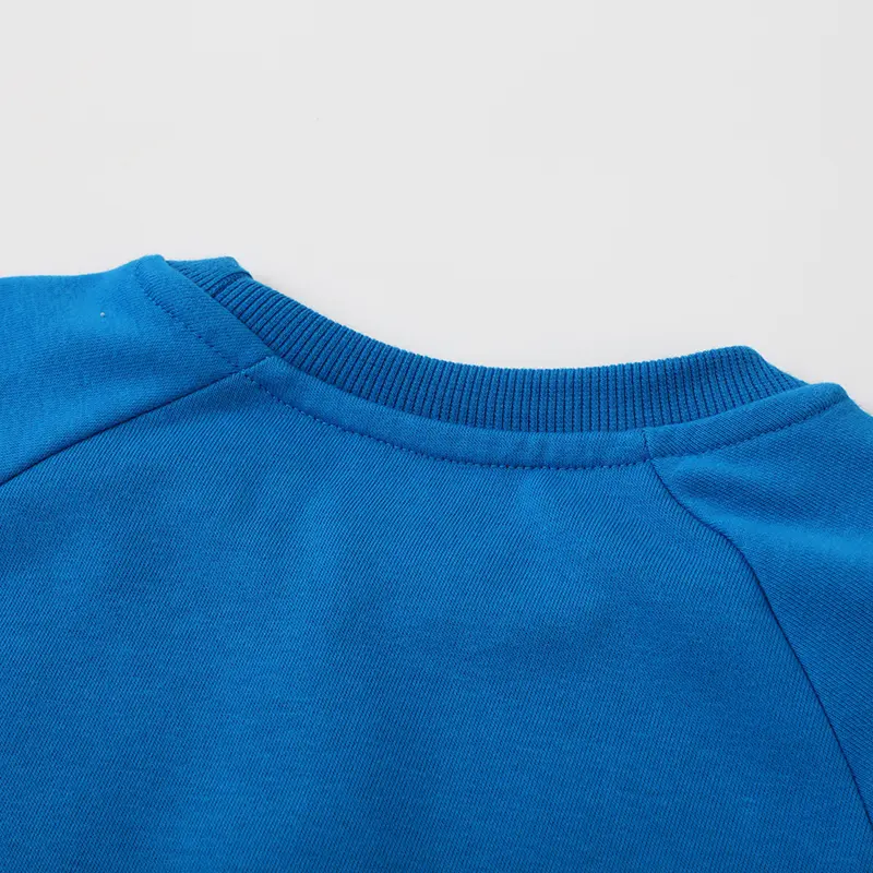 Adorable Toddler Girl Blue Pullover Charming Flower Embroidered Sleeves Comfortable & Cute Ideal for Everyday Wear