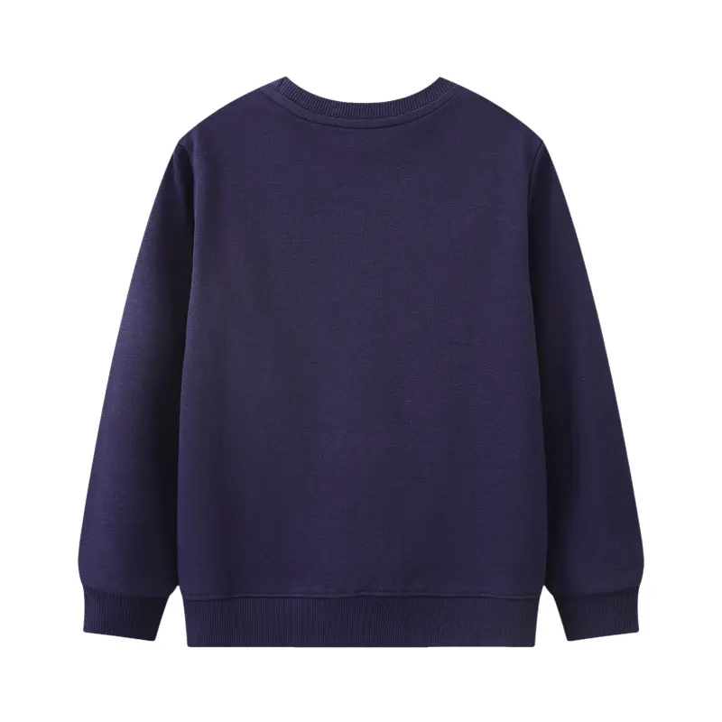 Casual Boys' Sweatshirt Featuring Dinosaur Design