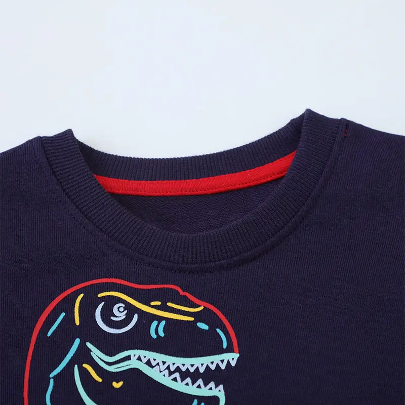 Casual Boys' Sweatshirt Featuring Dinosaur Design