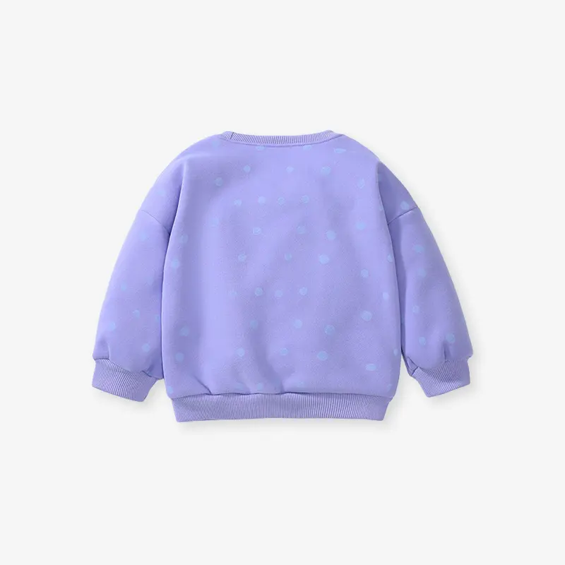 Girls' Light Purple Sweatshirt Adorable Ladybug Rainbow and Flower Embroidery Adorable Toddler Children Pullover