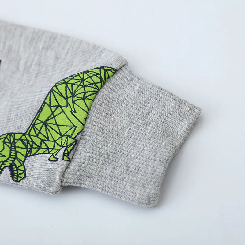 Boys' Gray Long - Sleeve Sweatshirt - with Green Low - poly Dinosaur All - over Print - Suitable for Ages 2-7y