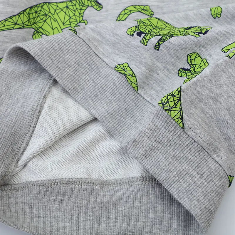 Boys' Gray Long - Sleeve Sweatshirt - with Green Low - poly Dinosaur All - over Print - Suitable for Ages 2-7y