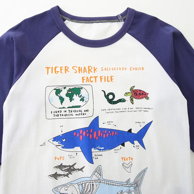Boys' Long - Sleeve Raglan T - shirt - White with Navy Blue Sleeves - Tiger Shark Fact File Print - Suitable for Ages 2-7y