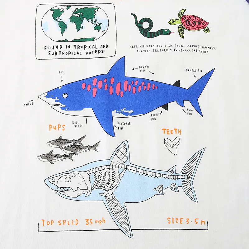 Boys' Long - Sleeve Raglan T - shirt - White with Navy Blue Sleeves - Tiger Shark Fact File Print - Suitable for Ages 2-7y