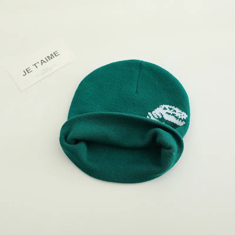 Dinosaur Patterned Knit Beanies for Kids in Multiple Colors Children Outdoor Caps