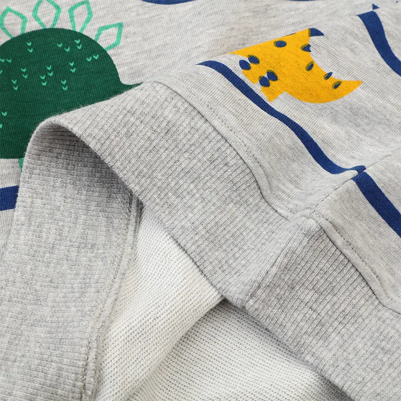 Boys' Gray Long - Sleeve Sweatshirt - with Dinosaur and Landscape Print - Suitable for Ages 2-7t