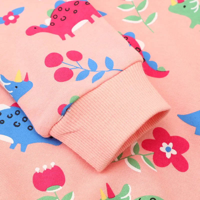 Girls' Pink Long - Sleeve Sweatshirt - with Dinosaur and Floral All - over Print - Suitable for Ages 2-7y